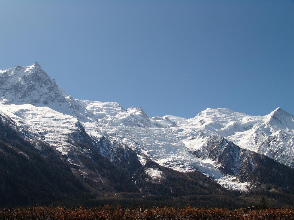 Les Glaciers - 1 Appartement